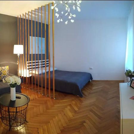 Art & Design Apt - City Center Timisoara Bagian luar foto