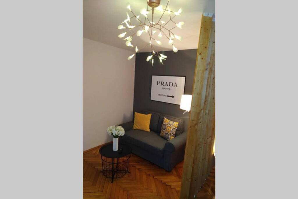 Art & Design Apt - City Center Timisoara Bagian luar foto
