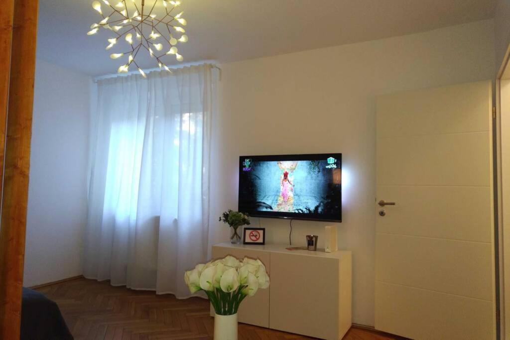 Art & Design Apt - City Center Timisoara Bagian luar foto