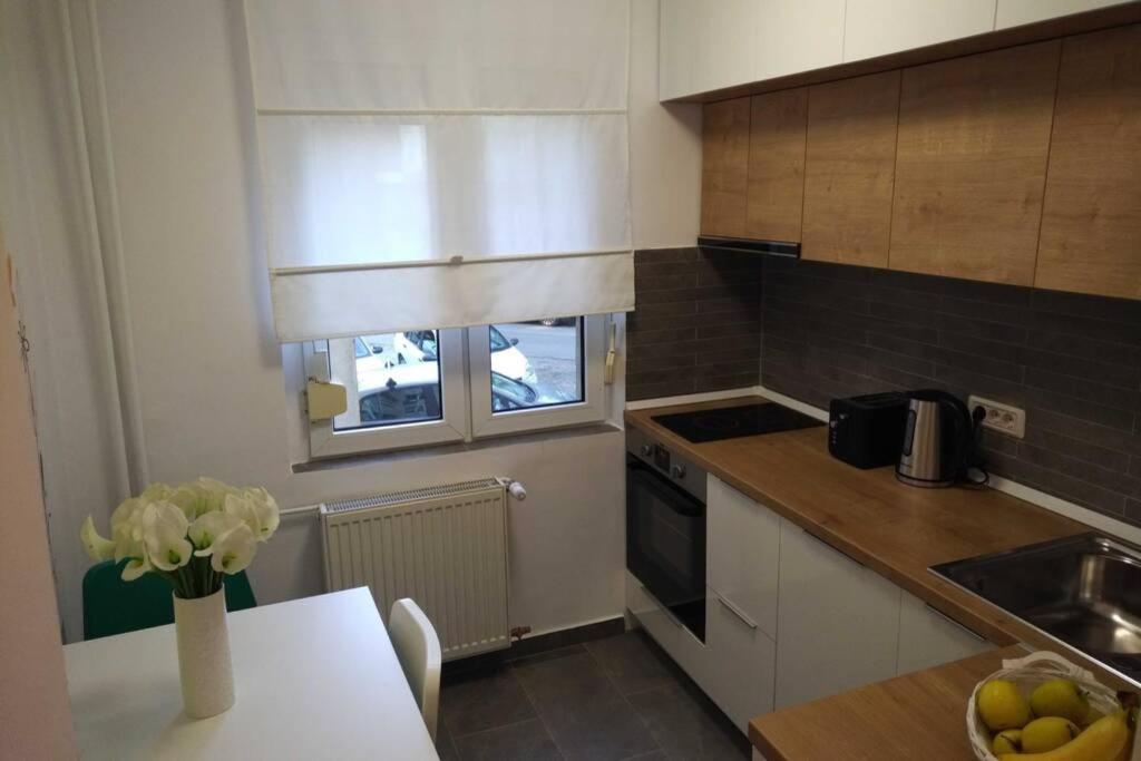 Art & Design Apt - City Center Timisoara Bagian luar foto