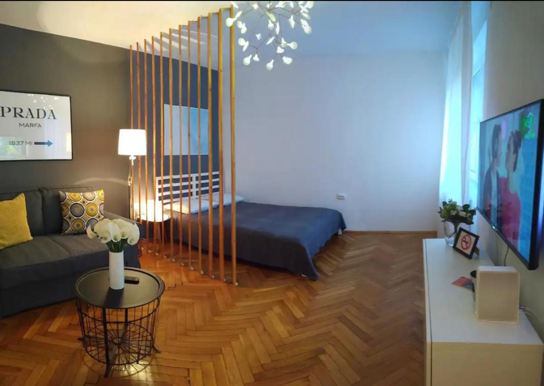 Art & Design Apt - City Center Timisoara Bagian luar foto
